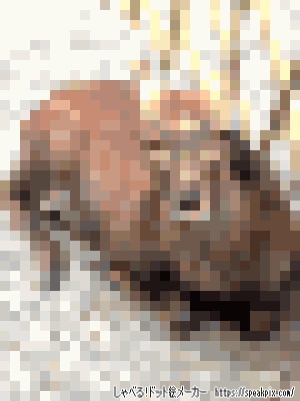 鹿
